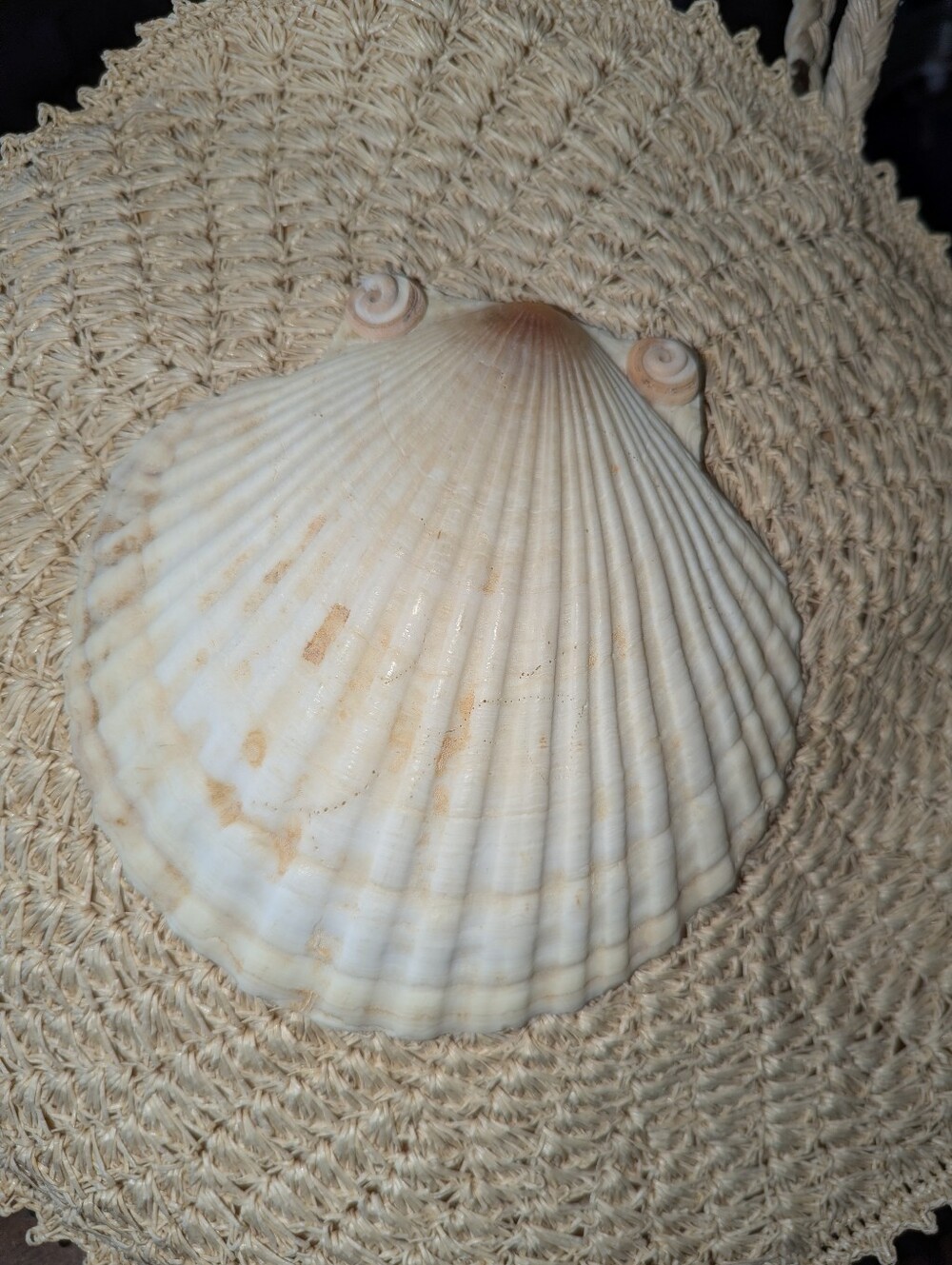 VTG 60s Round Woven Straw Beach Bag Made in Japan Shell - Picture 5 of 10
